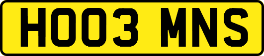 HO03MNS