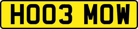 HO03MOW