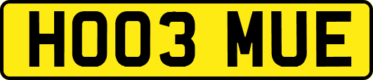 HO03MUE