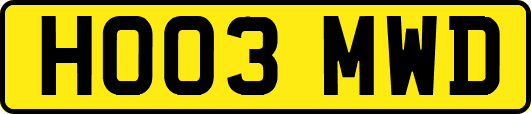 HO03MWD