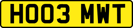 HO03MWT