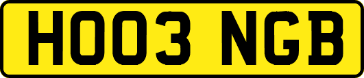 HO03NGB