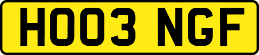 HO03NGF
