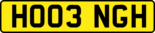 HO03NGH