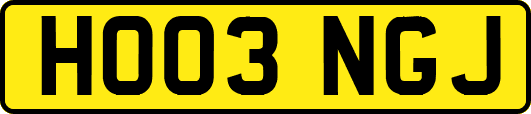 HO03NGJ