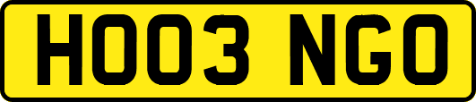 HO03NGO