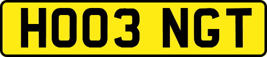 HO03NGT