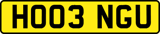 HO03NGU