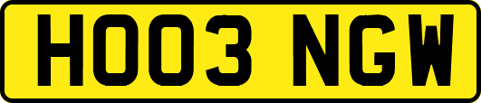 HO03NGW