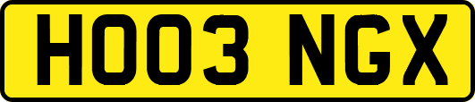 HO03NGX