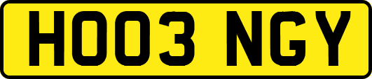 HO03NGY