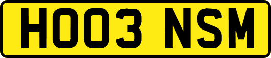 HO03NSM