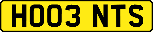 HO03NTS