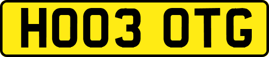 HO03OTG