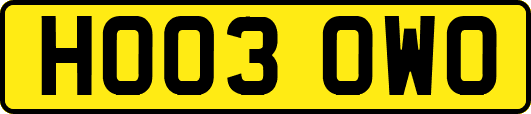 HO03OWO