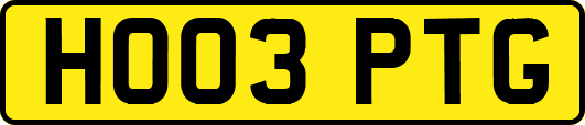 HO03PTG