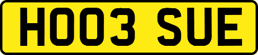 HO03SUE