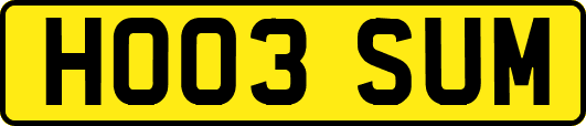 HO03SUM