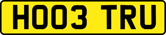 HO03TRU