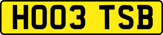 HO03TSB