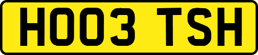 HO03TSH