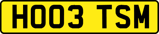 HO03TSM