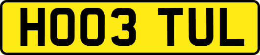 HO03TUL