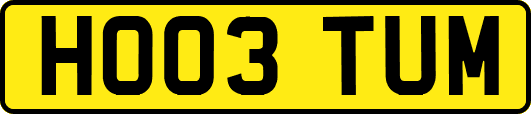 HO03TUM
