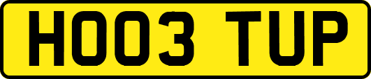 HO03TUP