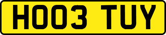 HO03TUY