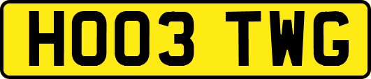 HO03TWG