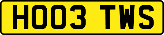 HO03TWS