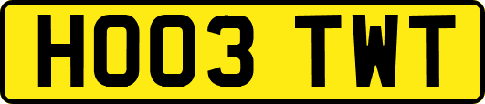 HO03TWT