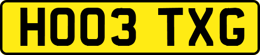 HO03TXG