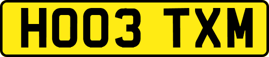 HO03TXM