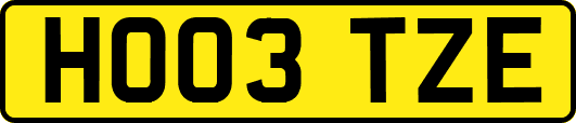 HO03TZE