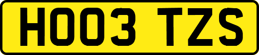 HO03TZS