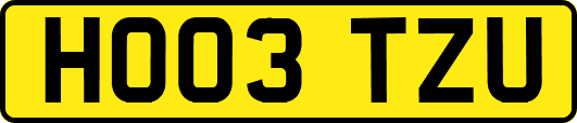HO03TZU