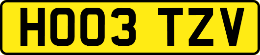 HO03TZV