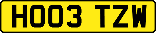 HO03TZW