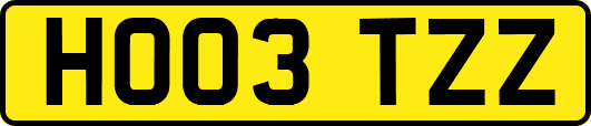 HO03TZZ