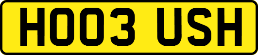 HO03USH