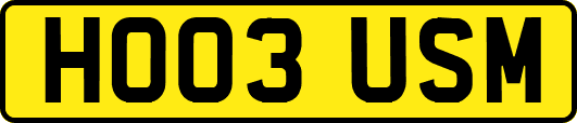 HO03USM