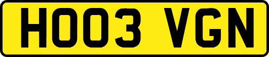 HO03VGN