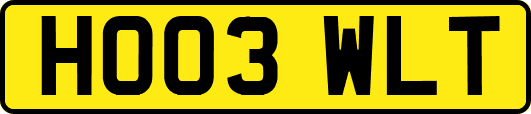 HO03WLT