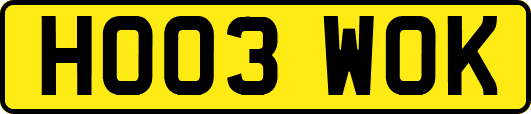 HO03WOK
