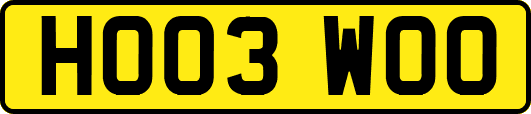 HO03WOO