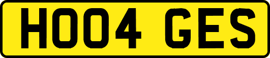 HO04GES