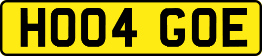 HO04GOE
