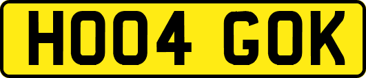 HO04GOK